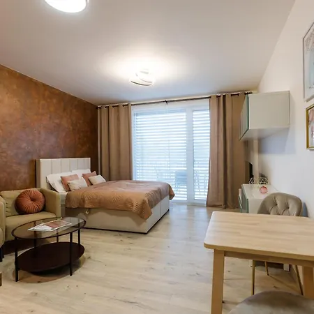 Golden Apartments Rezidence Nová Karolina Sekce C - Terrace View Apartment Ostrava